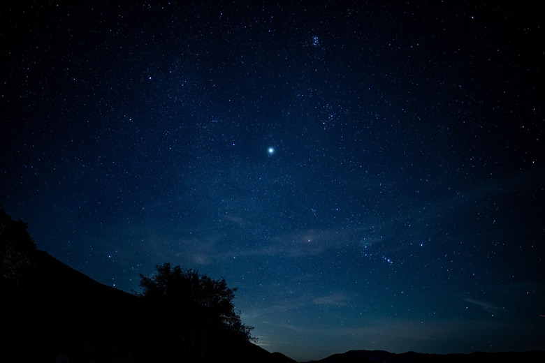 starry night sky with trees below