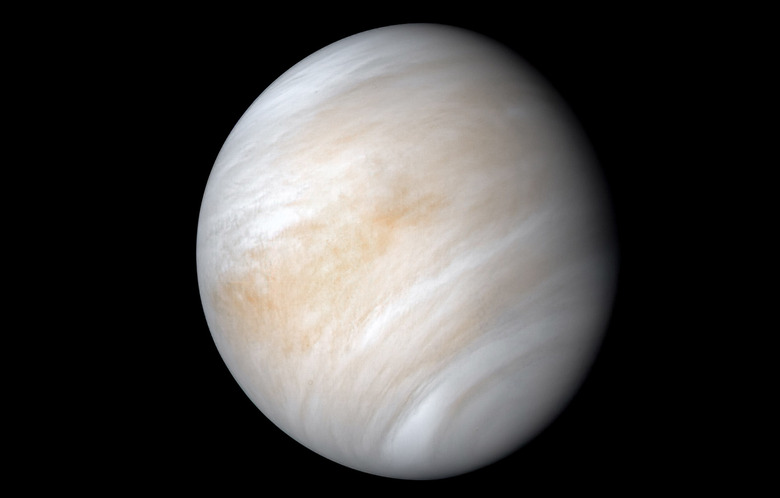 venus
