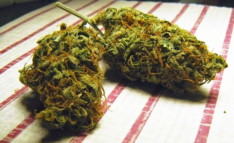 weed