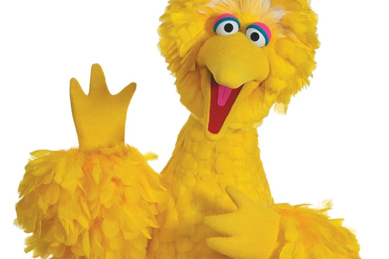 bigbird