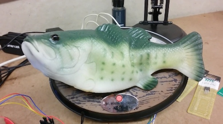 amazon-echo-fish-bass-alexa