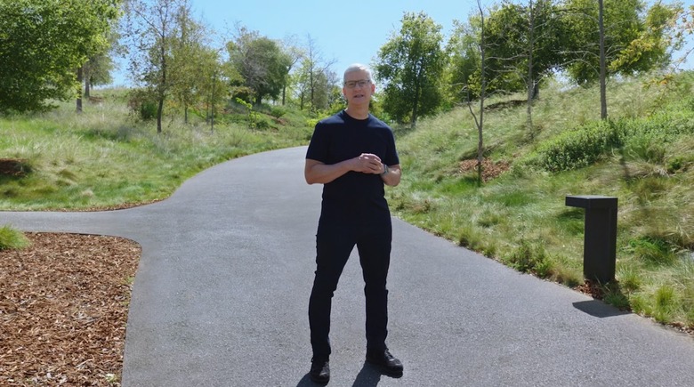 apple CEO Tim cook