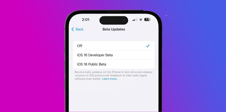 Apple Developer beta profile iOS 16.4