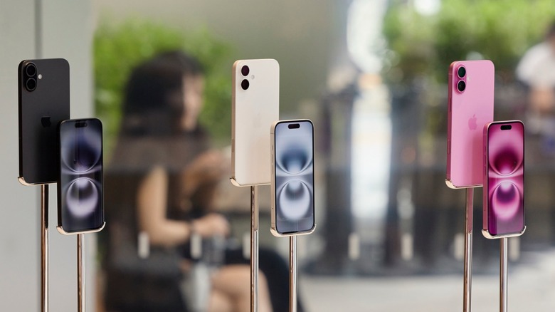 iPhone 16 models