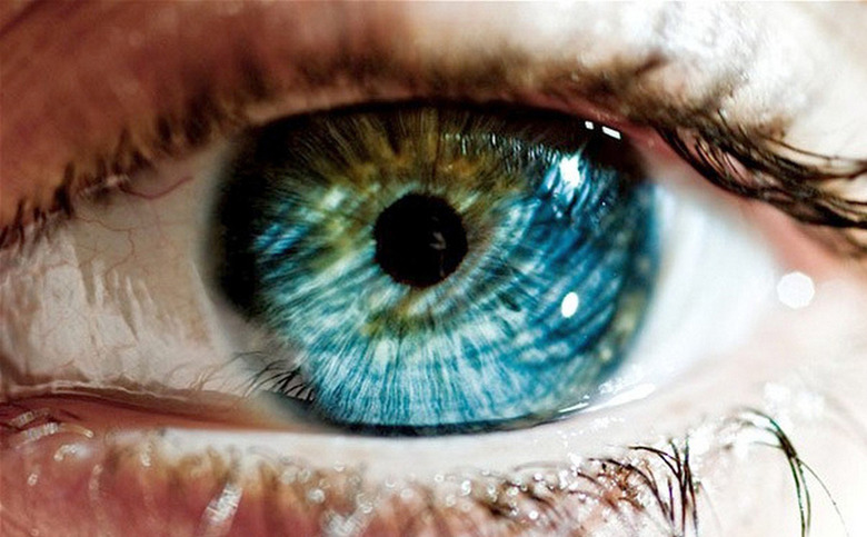 eyeball
