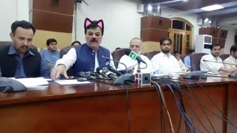 cat-filter-facebook