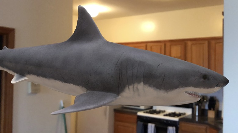 Google-AR-Shark