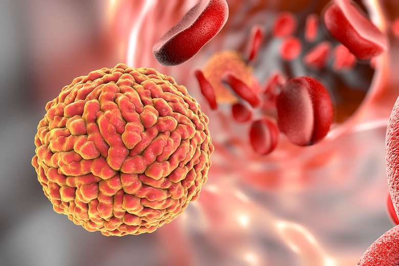 virus-in-blood-stream