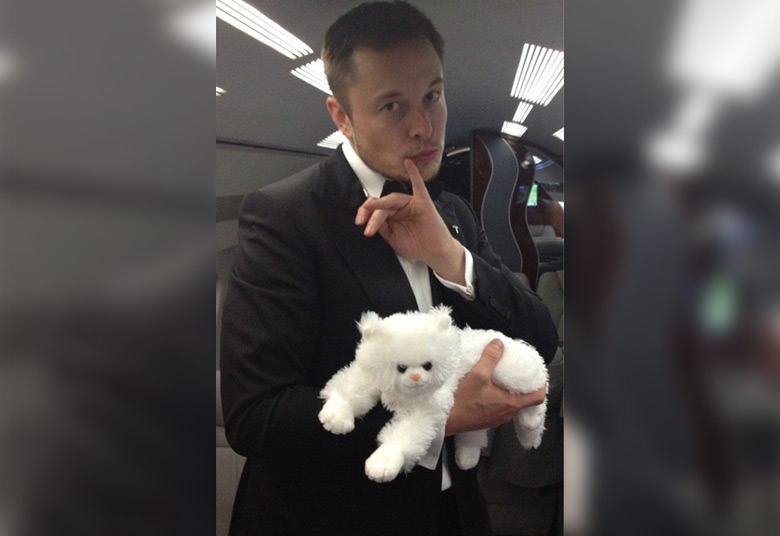 elon