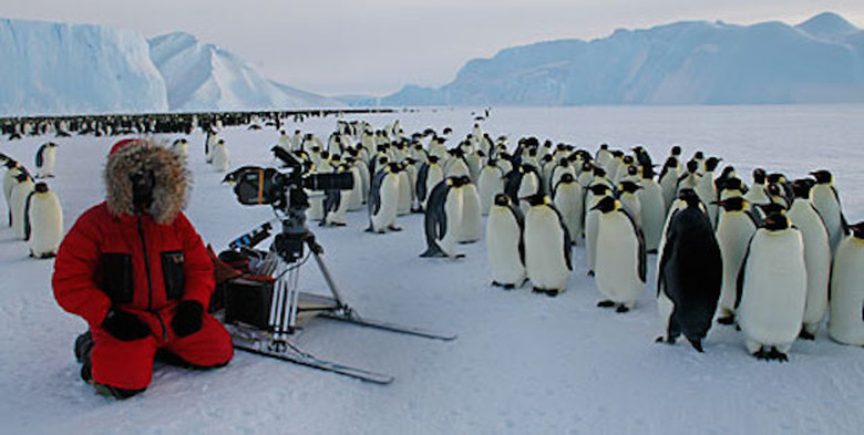 planet earth penguins