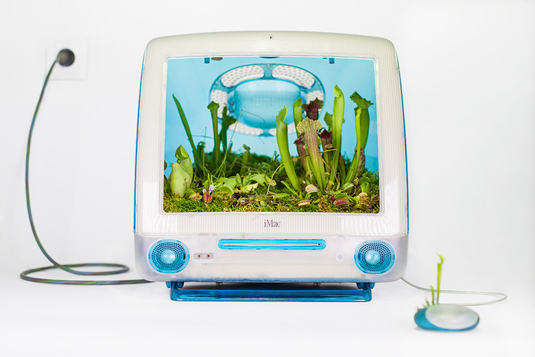 plant_your_mac_carnivor_monsieur_plant_2016_5