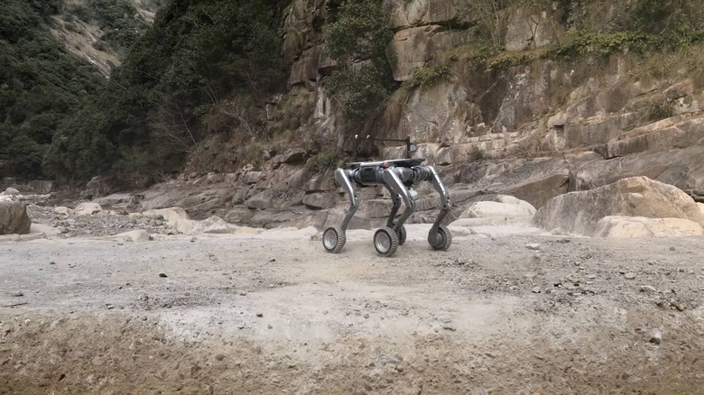 Lynx-Wheeled-Robot-Dog
