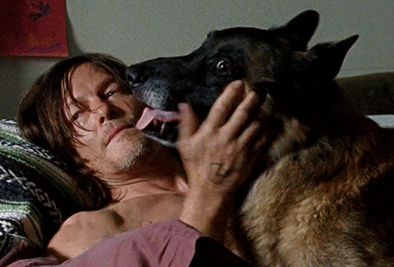 the-walking-dead-photos-greatest-couples-ever