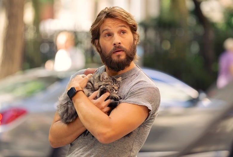 And Just Like That Adam Cat