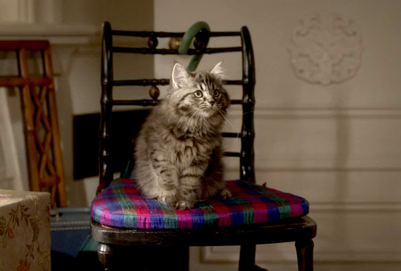 And Just Like That Cat Shoe Season 3