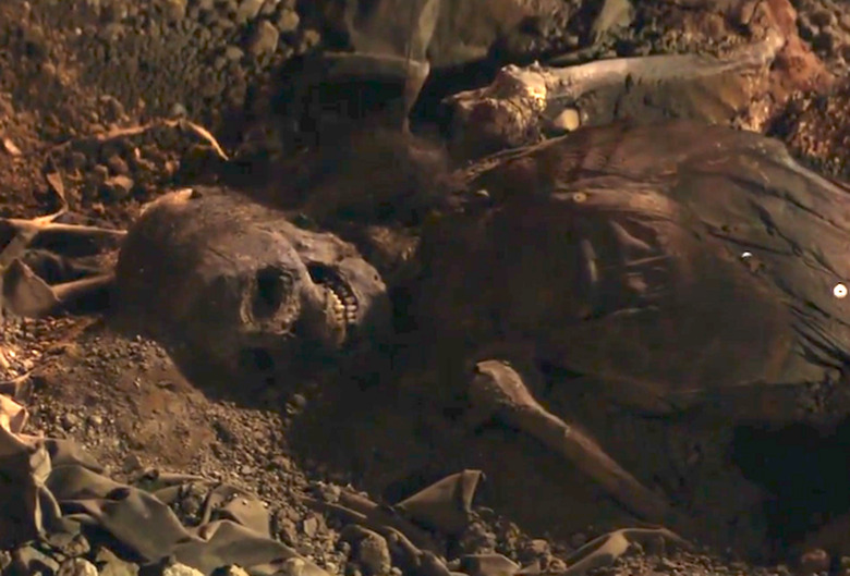 animal kingdom most shocking deaths all time ranked list catherine