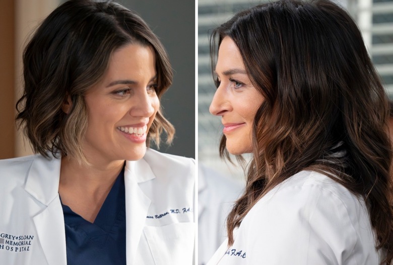 greys anatomy monica amelia